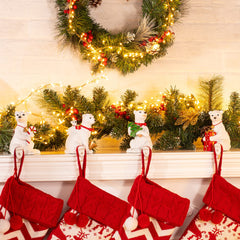 1 x 4 Pack / Solar Bear