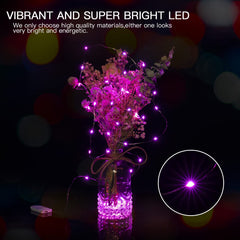 24 x 7 Feet / 20 LED / Multicolor