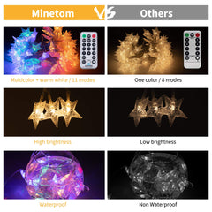 33 Feet / 100 LED / Remote