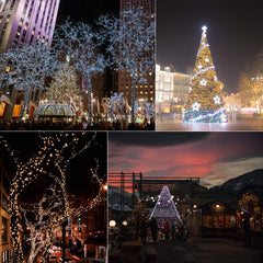 33 Feet / 100 LED / Multicolor / 13 Modes