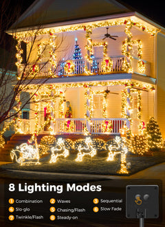 39FT / 100LED