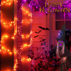 1 x 10 Feet / 200 LED / Orange / Black Wire