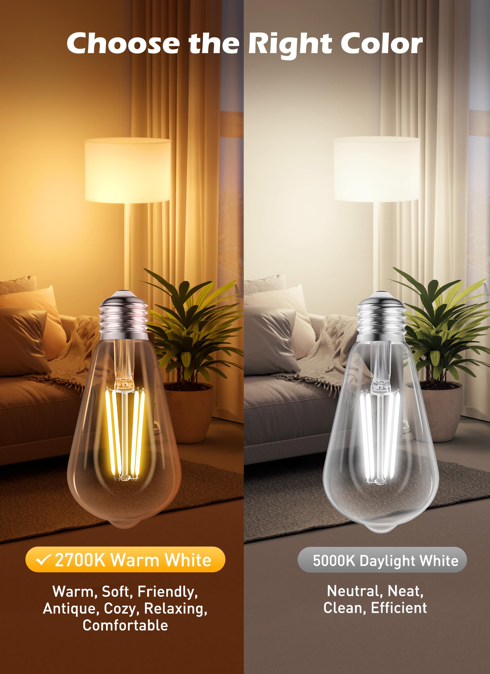 6 Count / LED Bulb / Warm White