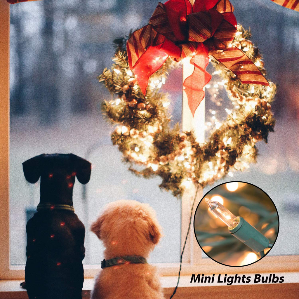 1 x 25 Feet / 100 Bulbs / Warm white