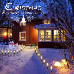1 Pack / 25.7 Feet / 20 LED / Warm White