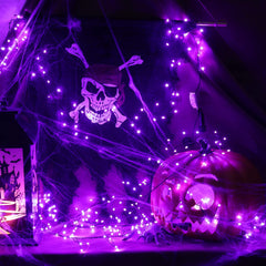 1 x 10 Feet / 200 LED / Purple / Black Wire