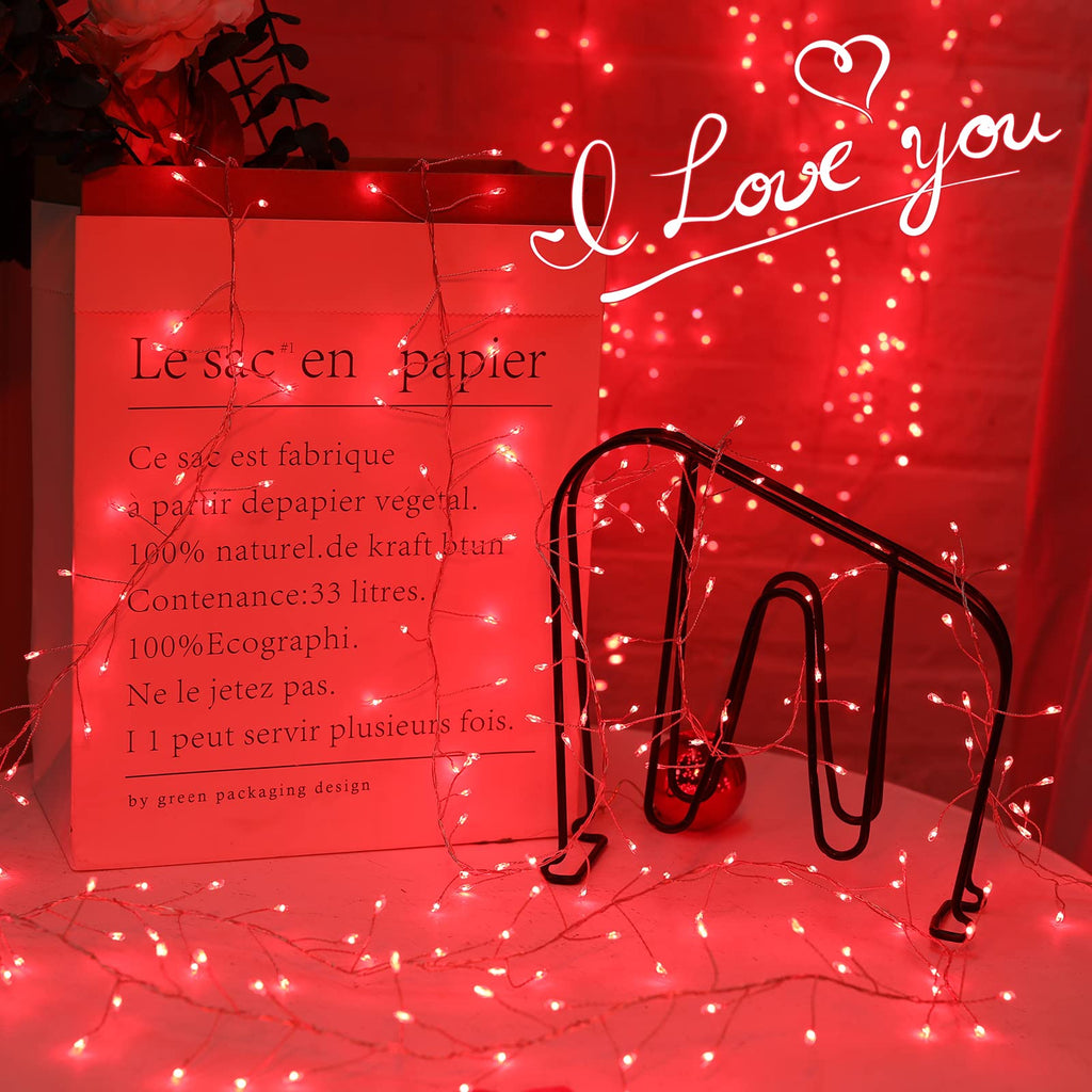 1 x 10 Feet / 200 LED / Red / Silver Wire