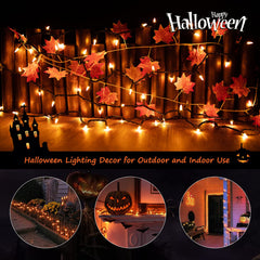 1 x 25 Feet / 100 Bulbs / Orange and Yellow