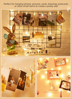 1 x 33 Feet / 100 LED / 60 Clips