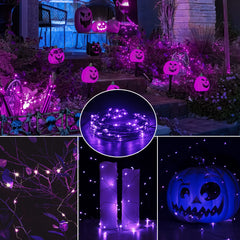 24 x 7 Feet / 20 LED / Purple