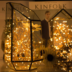 1 x 40 Feet / 120 LED / Warm White