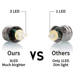 25 Count / Warm White