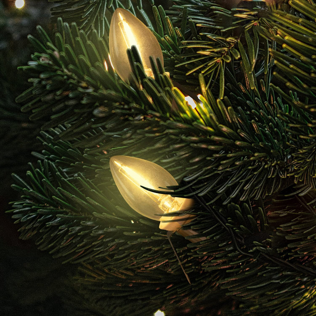 2 Pack / 5 Feet / Warm White