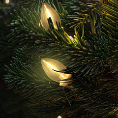 2 Pack / 5 Feet / Warm White