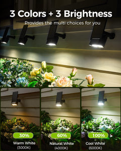 4 Pack / 3 Colors / Remote