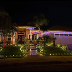1 Pack / 25.7 Feet / 20 LED / Warm White