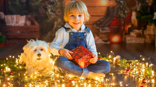 The Ultimate Garden Gift Guide: 4 Best Solar Outdoor String Lights