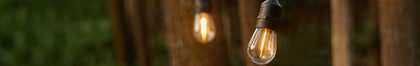 S14 Bulbs