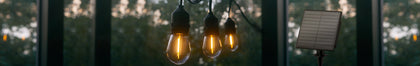 S14 Bulbs String Lights