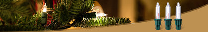 Mini Bulbs