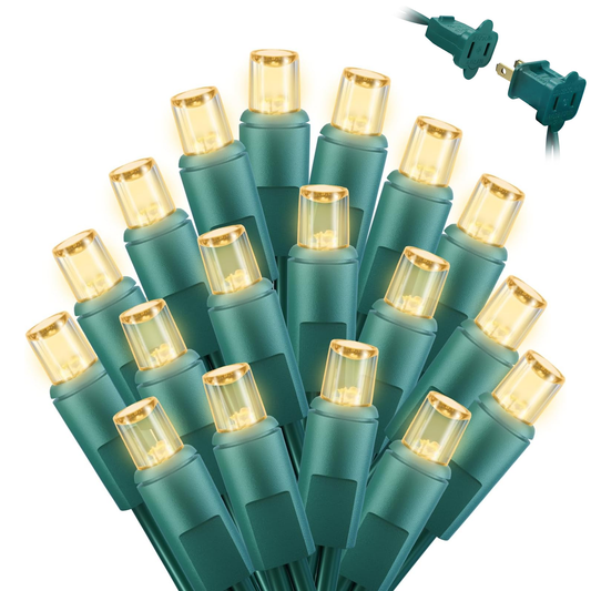 F5 Concave Mini Lights, LED Bulbs on Green Wire