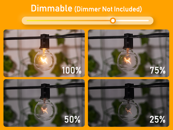 G40 String Lights Incandescent Bulbs Brightown Decor