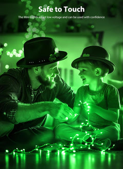St. Patrick Mini String Lights - 39 FT, 100 LED, Waterproof