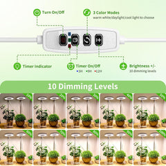 LED Plant Grow Light - 2 Head Adjustable Height Growing Lamp