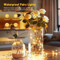 USB Fairy String Lights with Remote - 66 Feet 200 LED Warm White Lights