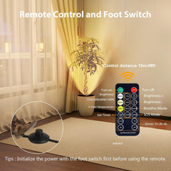 LED Floor Can Lights - 6000K, Remote, Timer, Dimmable - Indoor Uplighting (Black)