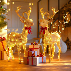 33ft Warm White Fairy Lights - Waterproof Silver Wire