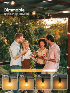 LED Outdoor String Light - 100 Feet with 52 Shatterproof Edison Bulbs