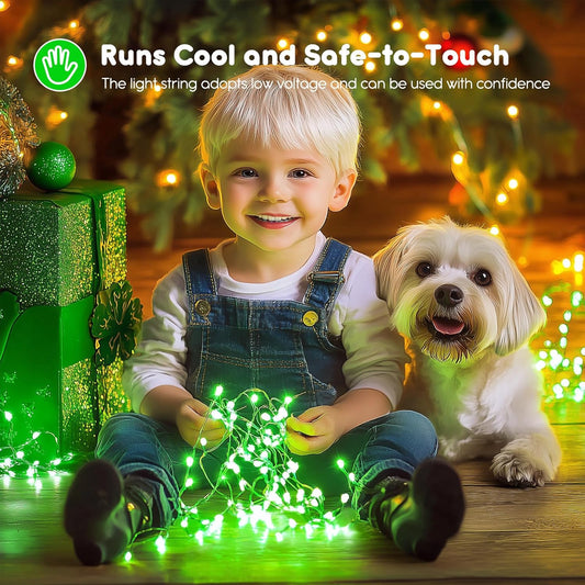 6 Pack Battery Operated Fairy Lights with Timer - 7ft 20 LED Green String Lights