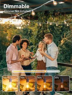 25 Feet LED Outdoor String Lights - Shatterproof G40 Edison Bulbs