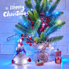 5 Pack 7FT 20 LED String Lights with Timer in Blue White