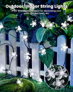 Solar Flower Lights - 60 LED, Waterproof, Christmas