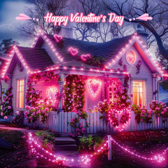 Pink String Lights, 2 Pack 18FT 50 LED Mini Lights with 8 Modes