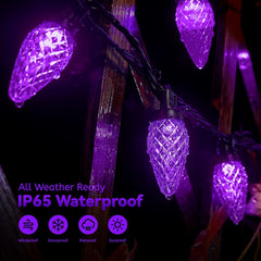 66 FT C9 LED String Lights - 100 Strawberry-Shaped LEDs