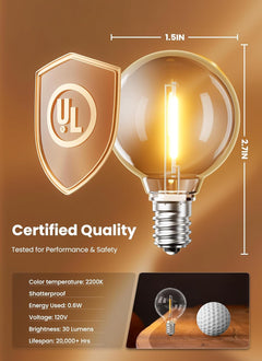 G40 1W 120V Globe Replacement LED Light Bulbs, Warm White