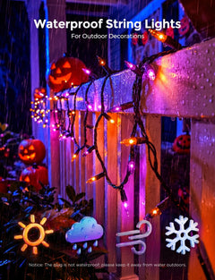40Ft Plug in Mini Bulbs String Light for Halloween Haunted House Party, Orange & Purple