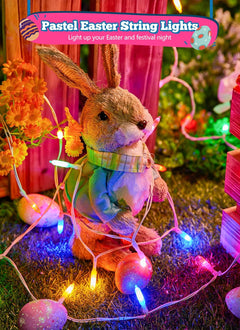 Battery Operated Pastel String Lights, 8ft, 20 LED with Timer