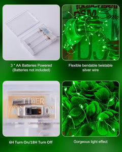 Battery Operated Fairy Lights, 5FT 60 LED Twinkle String Lights