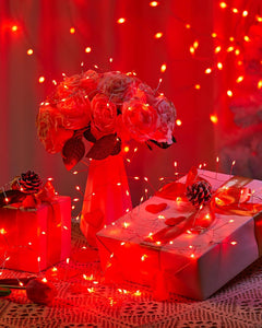 Red Fairy Lights, 5FT Battery Operated 60 LED String Lights