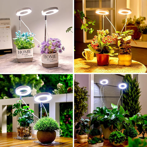 decorative indoor plant lights LED Plant Grow Light
