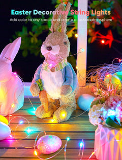 33FT USB Plug in 100 LED 22 Colors Changing Copper Wire String Lights with Remote, 12 Modes