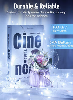 Battery Operated Fairy Lights - 33FT 100 LED Variants