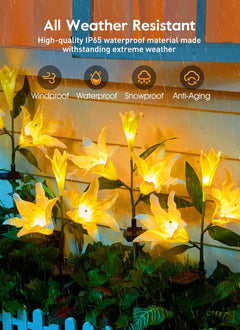 Solar Garden Lights - 4 Pack, LED Lily, Waterproof, White