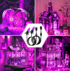 Accessory Cord with LED Bulb - 6ft with On/Off Switch, 2 Pack, Orange & Purple