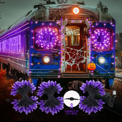 66 FT C9 LED String Lights - 100 Strawberry-Shaped LEDs