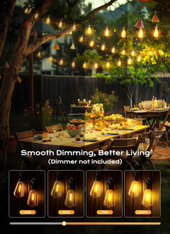 100FT Plug in 50+2 LED ST38 LED Outdoor Patio Lights for Porch Patio Christmas Party Decor